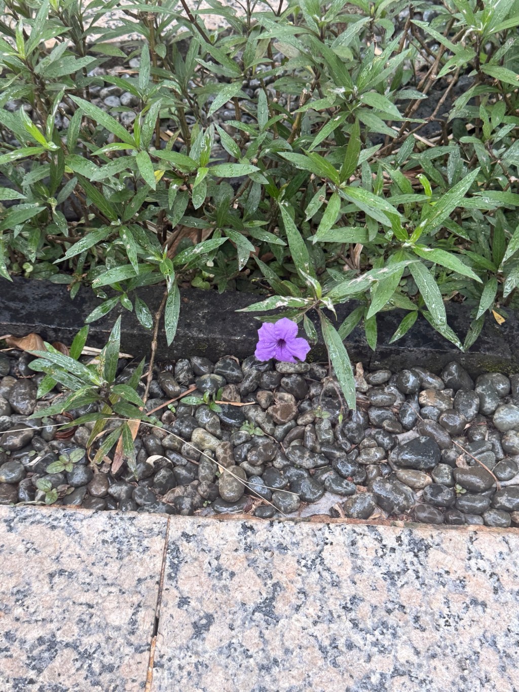 Your Friendly Reminder For 2026